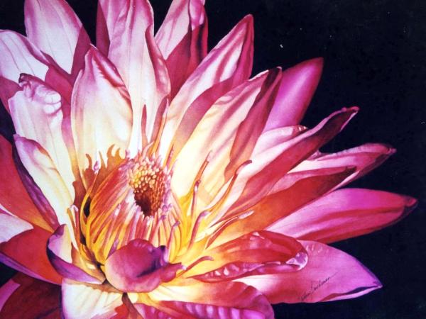 Water Lily I