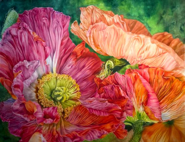 Manon’s Poppies