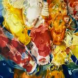 Koi Frenzy VII:  You are in My Way!