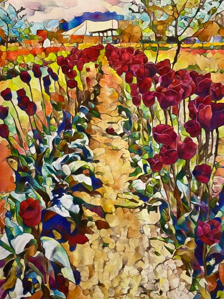 A Tulip Walk